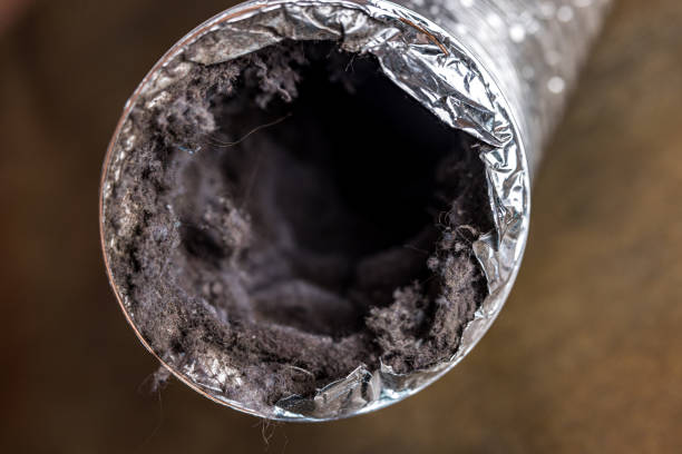 Best Local Air Duct Cleaning Services  in Bay Harbor Islands, FL