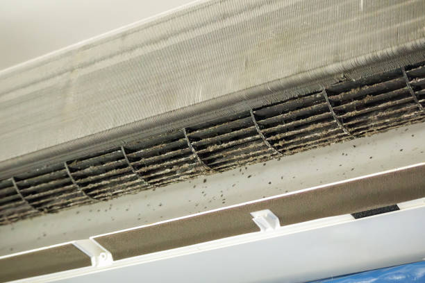 Best Air Duct Cleaning Near Me  in Bay Harbor Islands, FL